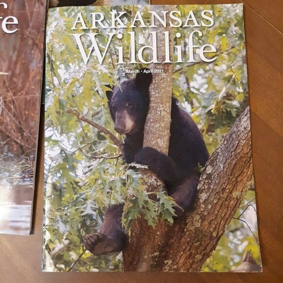 Lot of 5 Arkansas Wildlife Magazine 2021 Whole year - Picture 3 of 6